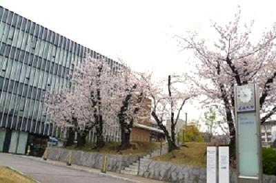 校友会館と桜 .JPG