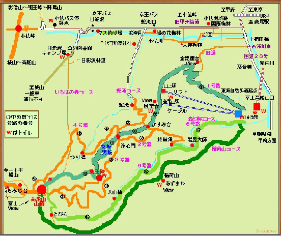 関東支部　ハイキング5.10.jpg